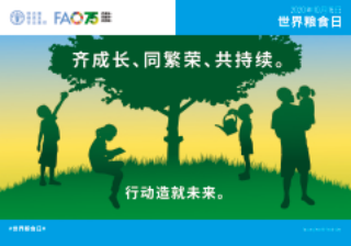 世界糧食日的到來(lái)，對(duì)食品級(jí)不銹鋼盤管的影響不會(huì)少.png